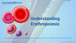 Understanding Erythropoiesis [upl. by Bullivant]