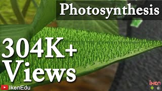 Photosynthesis and Transportation in Plants  iKen  iKen Edu  iKen App [upl. by Flavia479]