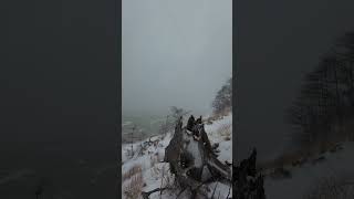 A Winter Tour Through Saugatuck Dunes State Park [upl. by Tolliver]