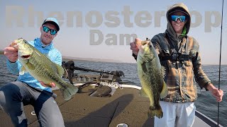 Fishing The Best Dam In The Country For Giant Bass  Rhenosterkop Dam [upl. by Inod]