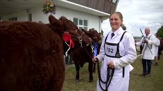 Great Yorkshire Show  14 July 2023 and in lots of clips [upl. by Mcroberts]