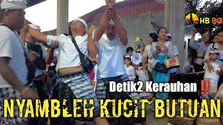 Detik2 Kerauhan‼️ Nyambleh Kucit Butuan Menyambut Melasti amp Nyepi 2023 di Bali [upl. by Kemeny126]