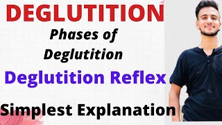 DEGLUTITION PHYSIOLOGY Phases of Deglutition Deglutition Reflex physiology [upl. by Ttennaej]