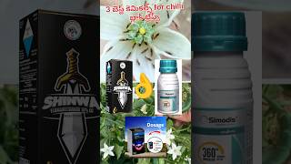 Best chemicals for chilli Black Trips agrochemicals farming natural [upl. by Barvick580]