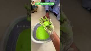 Name the magic liquid  Non Newtonian Fluid shorts learnandfun oobleck nonnewtonianfluid [upl. by Forlini368]