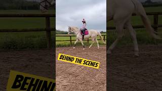 Behind the Scene footage With Ivy amp Ace horse equestrian showjumping horselover stallion [upl. by El]