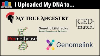 I Uploaded My DNA to Genomelink My True Ancestry GEDmatch Promethease and Genetic Lifehacks [upl. by Ademla]