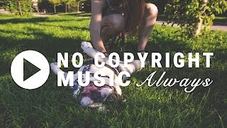 Sophomore Makeout by Silent Partner No Copyright Music [upl. by Nivloc348]