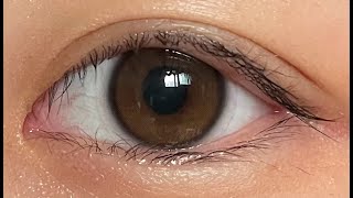 아이돌렌즈 유리알 워터브라운 보정 없는 솔직 리뷰  IDOL LENS YURIAL WATER BROWN COLOR CONTACT LENS REVIEW [upl. by Acemat315]