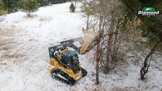 SkidSteer Forestry Disc Mulcher Winter Land Management  Diamond Mowers [upl. by Viguerie]