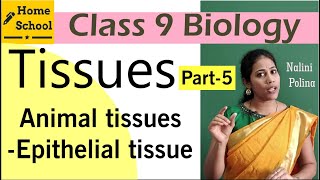 Tissues class 9 Biology Part5 [upl. by Lunn]