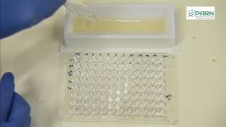 MIC by Microbroth dilution method [upl. by Rihana688]