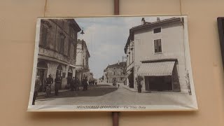 Monticelli d’Ongina PC per la festa di San Martino alla scoperta dei palazzi storici con il FAI [upl. by Nahtanhoj]