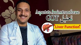 تحليل GOT  AST  و النسبة الطبيعيه و اسباب ارتفاع Aspartate aminotransferase فى الدم ،انزيمات الكبد [upl. by Nerak]