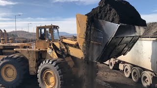 Caterpillar 992B Wheel Loader Loading Coal On Trucks [upl. by Sheffy761]