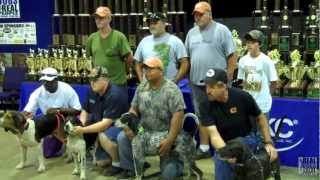 2012 UKC Coonhound World Championship  United Kennel Club [upl. by Orravan876]