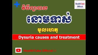 នោមទាស់ មូលហេតុនិងវិធីព្យាបាល l Dysuria causes and treatment l នោមទាស់ l HealthTube Offical [upl. by Etom]