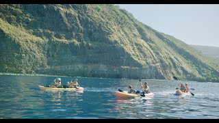 Kayak amp Snorkel Tour in Kealakekua Bay  Unforgettable Adventure [upl. by Eeliab]