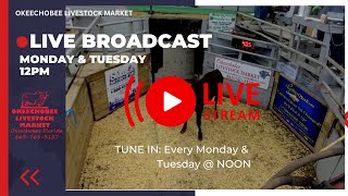 Okeechobee Livestock Market Live Stream [upl. by Bucher460]