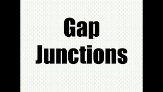 Membrane Junctions Part 3 Gap Junctions [upl. by Riegel160]