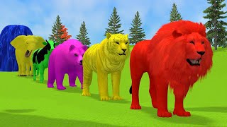 Long Slide Game With Elephant Gorilla Buffalo Hippopotamus Tiger  3d Animal Game  Funny 3d Animals [upl. by Eineeuq]