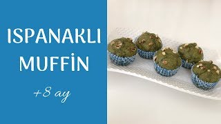 BEBEKLERE ISPANAKLI KEK TARİFİ  ISPANAKLI MUFFİN  BEBEKLERE ATIŞTIRMALIK TARİFİ [upl. by Aynad]