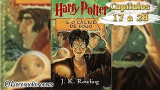 Harry Potter e o Cálice de Fogo  audiobook 23 [upl. by Gina]