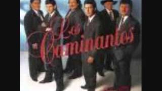 los caminantes dame otra oportunidad0001wmv [upl. by Sualakcin]