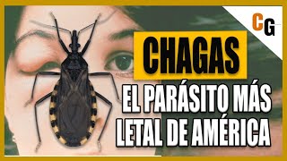 Mal de Chagas  El Parásito mas LETAL de América  ¿Cómo funciona la Tripanosomiasis Americana [upl. by Wilie]