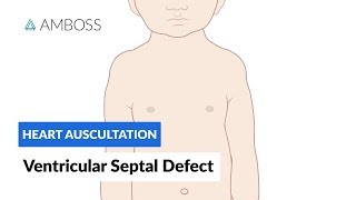 Ventricular Septal Defect VSD  Heart Auscultation  Episode 11 [upl. by Imuyam]