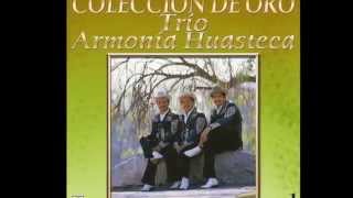 Mix Armonia Huasteca puros exitos [upl. by Ahselak]