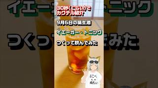 イエーガー・トニックつくって飲んでみた カクテル vtuber shorts [upl. by Ahsilra713]