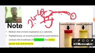 BIOCHEMICAL TEST MICROBIOLOGY [upl. by Ivana653]