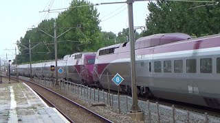 Treinen op station Rotterdam Lombardijen 2682016 [upl. by Nykal235]