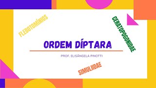 ORDEM DÍPTERA [upl. by Ikoek]