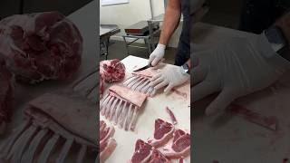 Frenched Rack of Lamb shorts fyp viral trending [upl. by Ailemor]