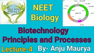 Biotechnology Principles and Processes Lecture4 By Anju Maurya [upl. by Ameg]