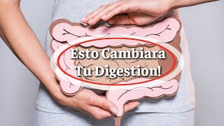 Mejora Tu Digestion Con Estas 7 Practicas Claves [upl. by Yllrebmik]