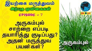 Arugampul  அருகம்புல்  Sidda Maruthuvam  Nattu  Iyarkai  Bermuda Grass  Cynodon Dactylon [upl. by Turrell]