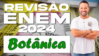 Questão sobre Botânica  Tipos de Raízes  Morfologia Vegetal  Revisão ENEM 2024 [upl. by Ayekam217]