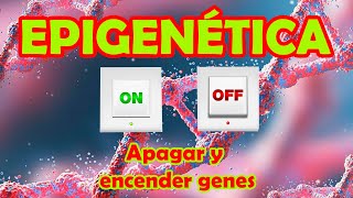 BIOQUÍMICAMENTE ¿Qué es la epigenética Apagar y encencer genes [upl. by Anitsej]