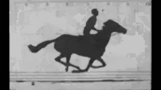 Sallie Gardner at a Gallop 1878 The Horse in Motion [upl. by Onibas]