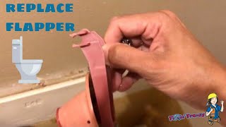 How to replace your toilet flapper  TOILET Flapper replace [upl. by Esilanna]