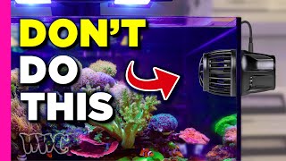 Is Flow KILLING Your Corals [upl. by Beatrice418]