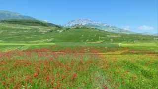 CASTELLUCCIO DI NORCIA  La FIORITURA del giugno 13  Full HD [upl. by Dolley]