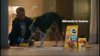 PEDIGREE ADÓPTAME Alimenta Lo Bueno 2022 [upl. by Yhtir662]