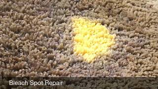 How to Fix Bleach Stain on Carpet  Using the DyeBold Dyes wwwdyeboldcarpetdyeingcom [upl. by Anahgem323]