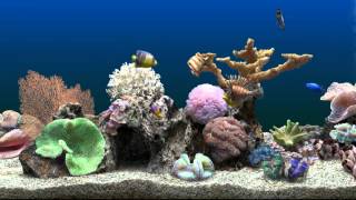 Marine Aquarium Virtual Fishtank [upl. by Atiruam]