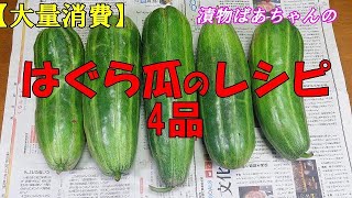 【大量消費】はぐら瓜のレシピ4品『味噌炒め 酢の物 胡麻和え 塩麴漬け 旬の物は何を作っても美味しい！！』 [upl. by Femmine]