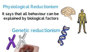 Reductionism vs Holism Psychology Debate Explained Alevel [upl. by Walden]